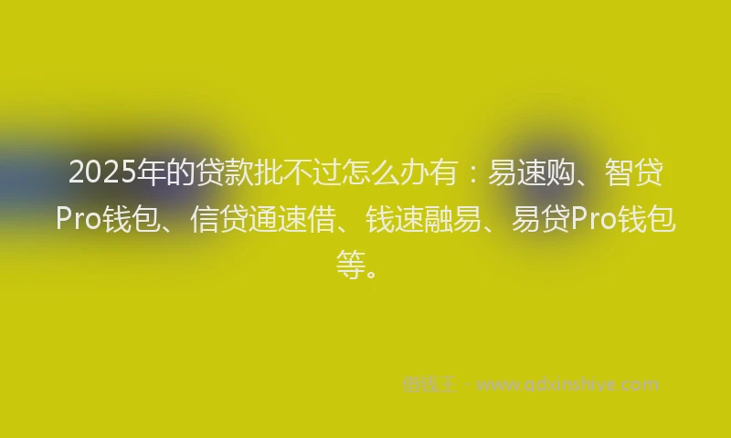2025年的贷款批不过怎么办有：易速购、智贷Pro钱包、信贷通速借、钱速融易、易贷Pro钱包等。