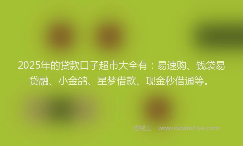 2025年的贷款口子超市大全有：易速购、钱袋易贷融、小金鸽、星梦借款、现金秒借通等。