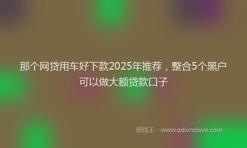 那个网贷用车好下款2025年推荐，整合5个黑户可以做大额贷款口子