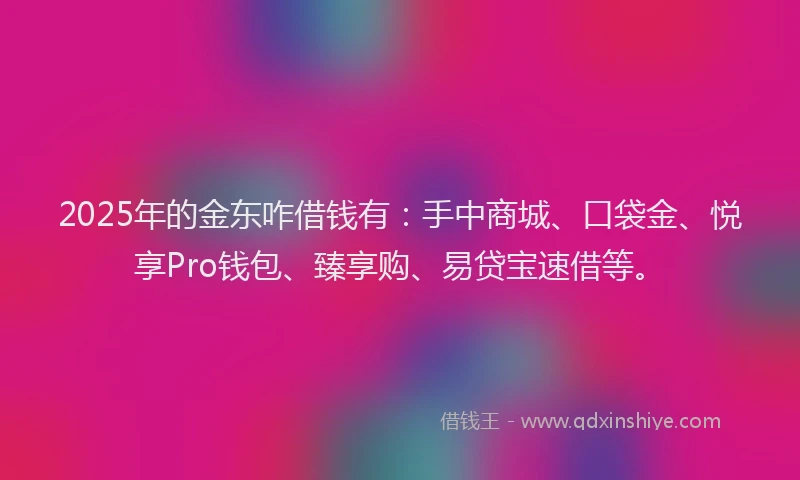 2025年的金东咋借钱有：手中商城、口袋金、悦享Pro钱包、臻享购、易贷宝速借等。