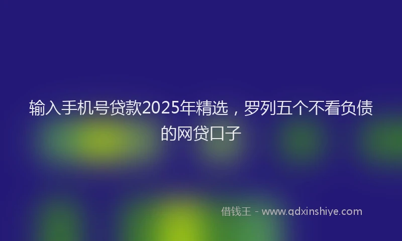 输入手机号贷款2025年精选，罗列五个不看负债的网贷口子