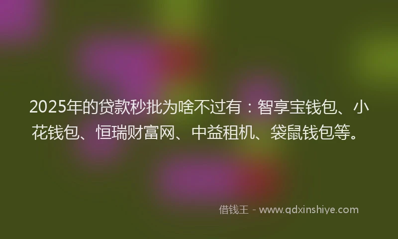 2025年的贷款秒批为啥不过有：智享宝钱包、小花钱包、恒瑞财富网、中益租机、袋鼠钱包等。
