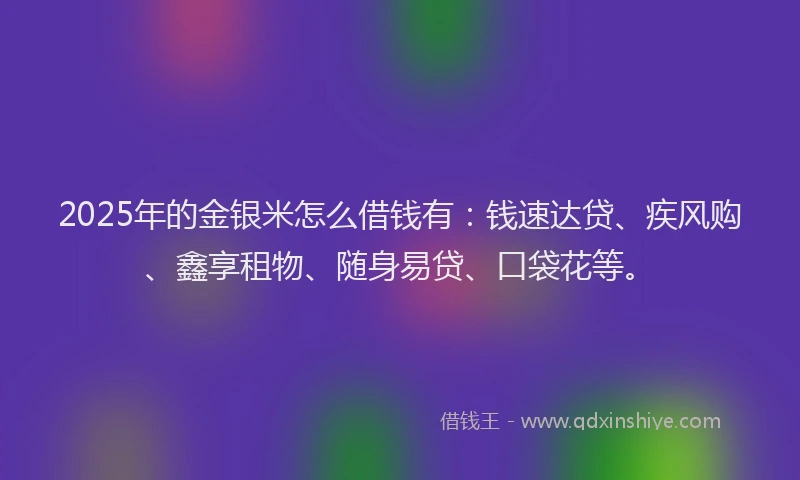 2025年的金银米怎么借钱有：钱速达贷、疾风购、鑫享租物、随身易贷、口袋花等。