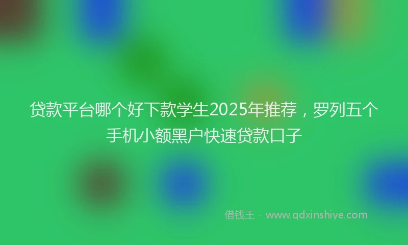 贷款平台哪个好下款学生2025年推荐，罗列五个手机小额黑户快速贷款口子