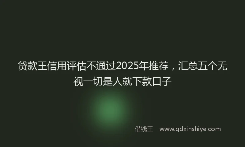 贷款王信用评估不通过2025年推荐，汇总五个无视一切是人就下款口子