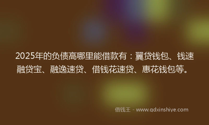 2025年的负债高哪里能借款有：翼贷钱包、钱速融贷宝、融逸速贷、借钱花速贷、惠花钱包等。