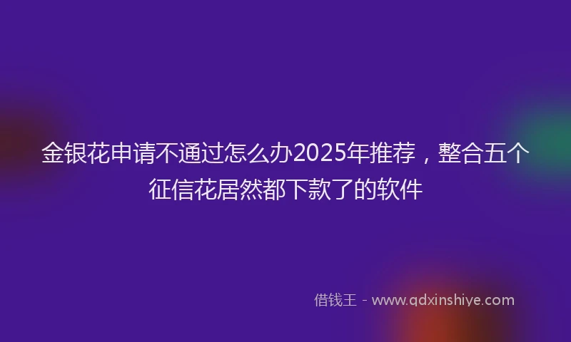 金银花申请不通过怎么办2025年推荐，整合五个征信花居然都下款了的软件