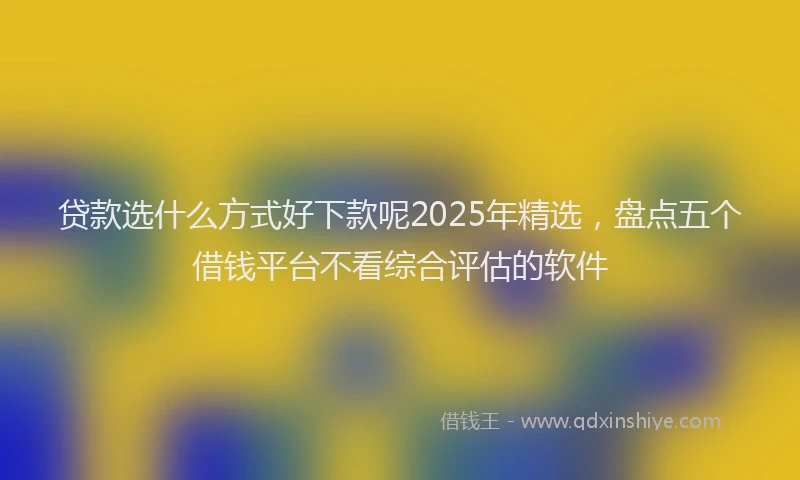贷款选什么方式好下款呢2025年精选，盘点五个借钱平台不看综合评估的软件