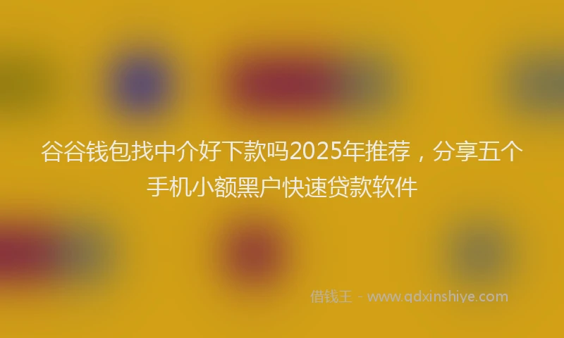 谷谷钱包找中介好下款吗2025年推荐，分享五个手机小额黑户快速贷款软件