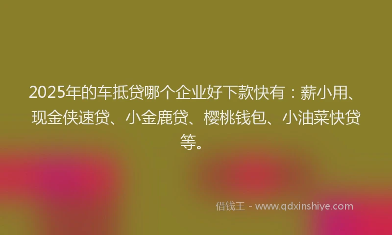 2025年的车抵贷哪个企业好下款快有：薪小用、现金侠速贷、小金鹿贷、樱桃钱包、小油菜快贷等。