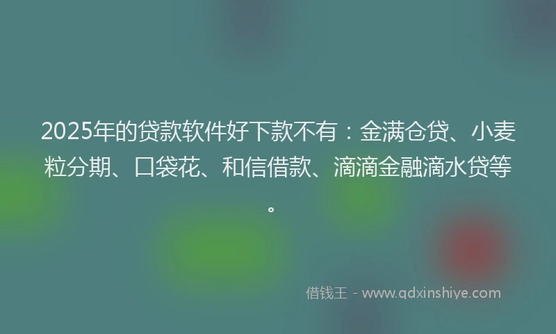 2025年的贷款软件好下款不有：金满仓贷、小麦粒分期、口袋花、和信借款、滴滴金融滴水贷等。
