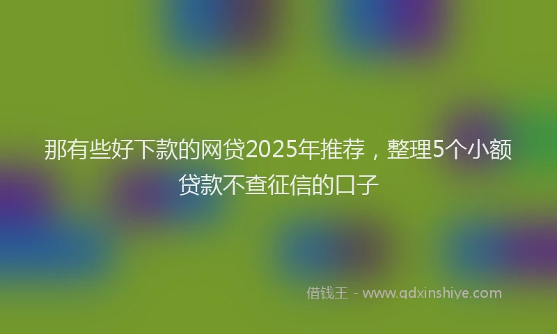 那有些好下款的网贷2025年推荐，整理5个小额贷款不查征信的口子