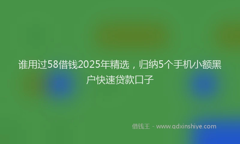 谁用过58借钱2025年精选，归纳5个手机小额黑户快速贷款口子