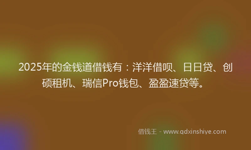 2025年的金钱道借钱有：洋洋借呗、日日贷、创硕租机、瑞信Pro钱包、盈盈速贷等。