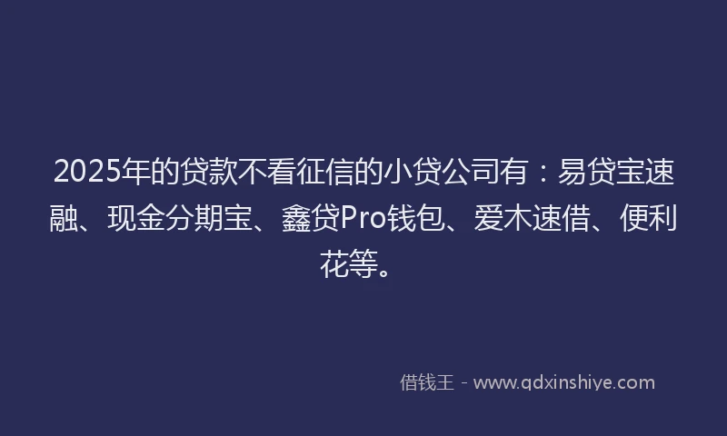 2025年的贷款不看征信的小贷公司有：易贷宝速融、现金分期宝、鑫贷Pro钱包、爱木速借、便利花等。