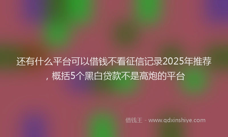 还有什么平台可以借钱不看征信记录2025年推荐，概括5个黑白贷款不是高炮的平台