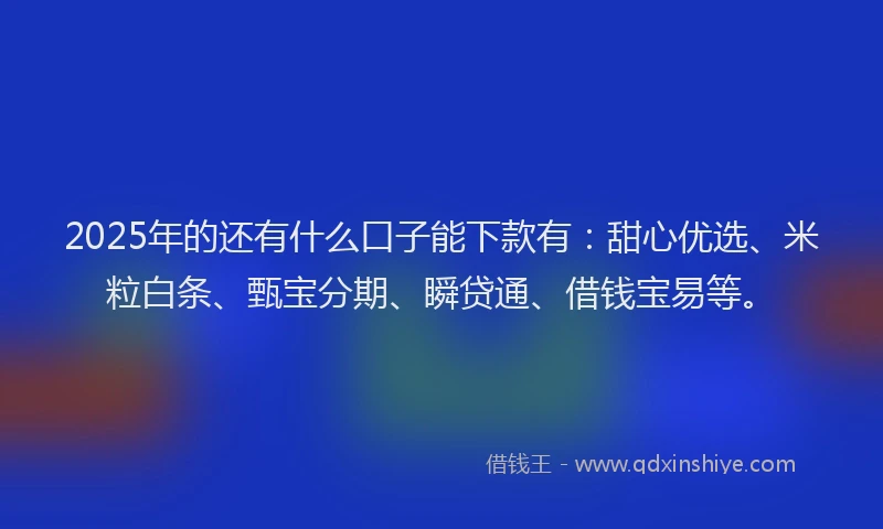 2025年的还有什么口子能下款有：甜心优选、米粒白条、甄宝分期、瞬贷通、借钱宝易等。