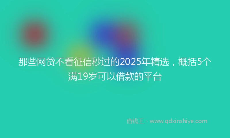那些网贷不看征信秒过的2025年精选，概括5个满19岁可以借款的平台