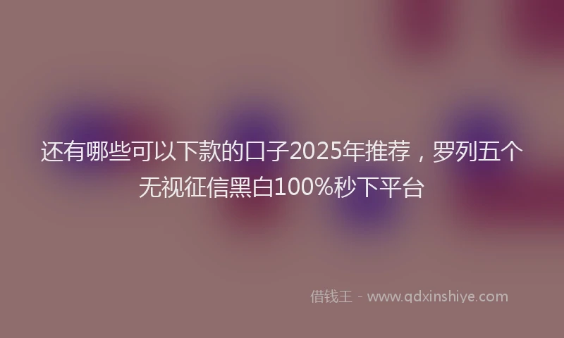 还有哪些可以下款的口子2025年推荐，罗列五个无视征信黑白100%秒下平台
