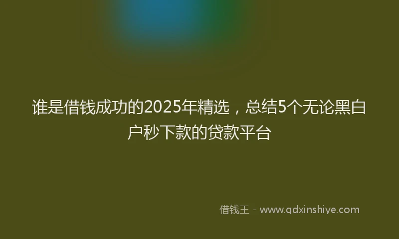 谁是借钱成功的2025年精选，总结5个无论黑白户秒下款的贷款平台