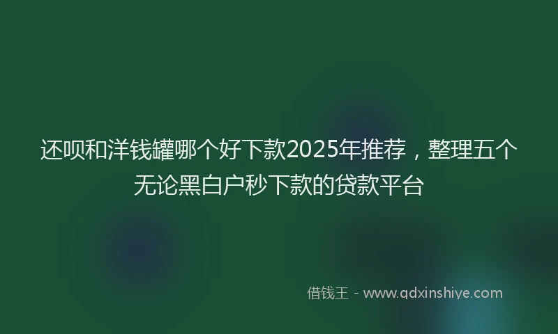 还呗和洋钱罐哪个好下款2025年推荐，整理五个无论黑白户秒下款的贷款平台