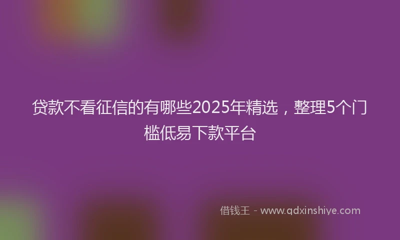 贷款不看征信的有哪些2025年精选，整理5个门槛低易下款平台