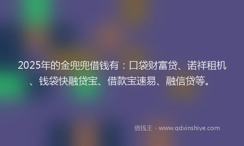 2025年的金兜兜借钱有：口袋财富贷、诺祥租机、钱袋快融贷宝、借款宝速易、融信贷等。
