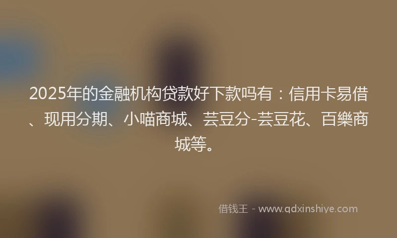 2025年的金融机构贷款好下款吗有：信用卡易借、现用分期、小喵商城、芸豆分-芸豆花、百樂商城等。
