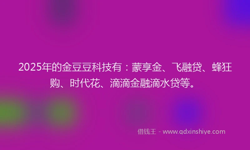 2025年的金豆豆科技有：蒙享金、飞融贷、蜂狂购、时代花、滴滴金融滴水贷等。