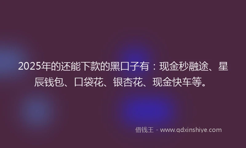 2025年的还能下款的黑口子有：现金秒融途、星辰钱包、口袋花、银杏花、现金快车等。