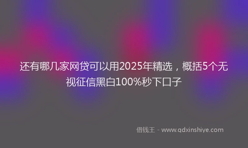 还有哪几家网贷可以用2025年精选，概括5个无视征信黑白100%秒下口子