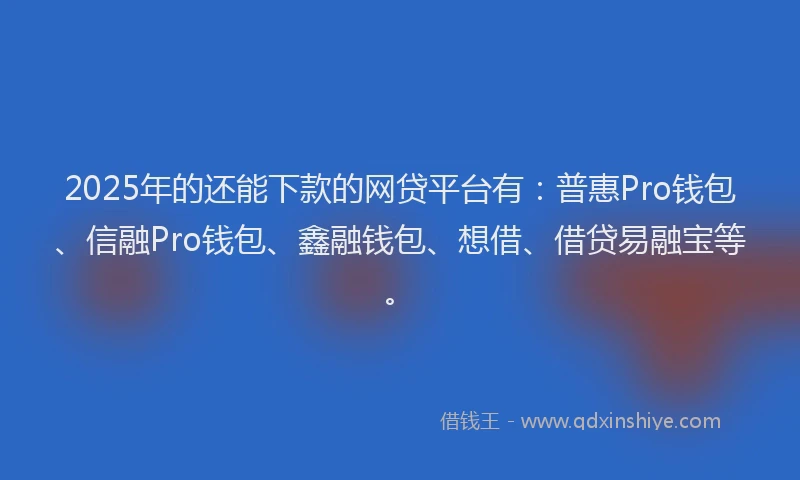 2025年的还能下款的网贷平台有：普惠Pro钱包、信融Pro钱包、鑫融钱包、想借、借贷易融宝等。