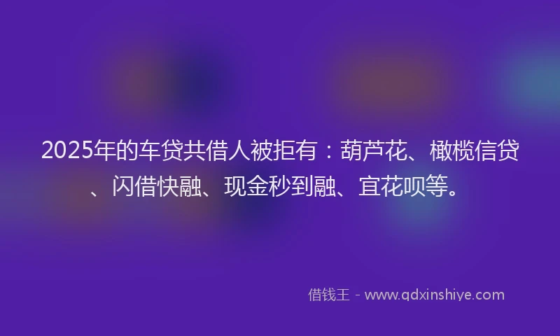 2025年的车贷共借人被拒有：葫芦花、橄榄信贷、闪借快融、现金秒到融、宜花呗等。