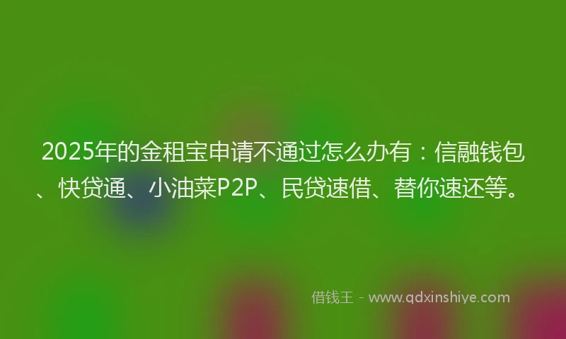 2025年的金租宝申请不通过怎么办有：信融钱包、快贷通、小油菜P2P、民贷速借、替你速还等。