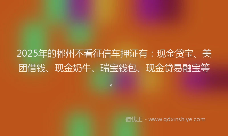 2025年的郴州不看征信车押证有：现金贷宝、美团借钱、现金奶牛、瑞宝钱包、现金贷易融宝等。