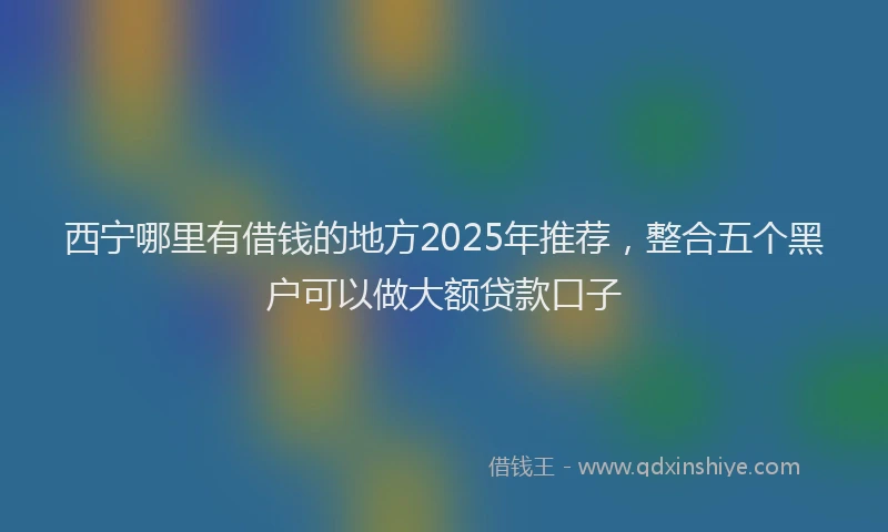 西宁哪里有借钱的地方2025年推荐，整合五个黑户可以做大额贷款口子