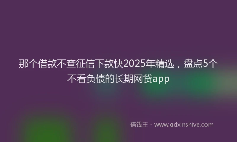 那个借款不查征信下款快2025年精选，盘点5个不看负债的长期网贷app