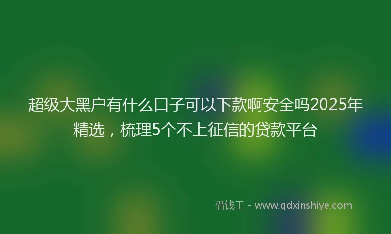超级大黑户有什么口子可以下款啊安全吗2025年精选，梳理5个不上征信的贷款平台