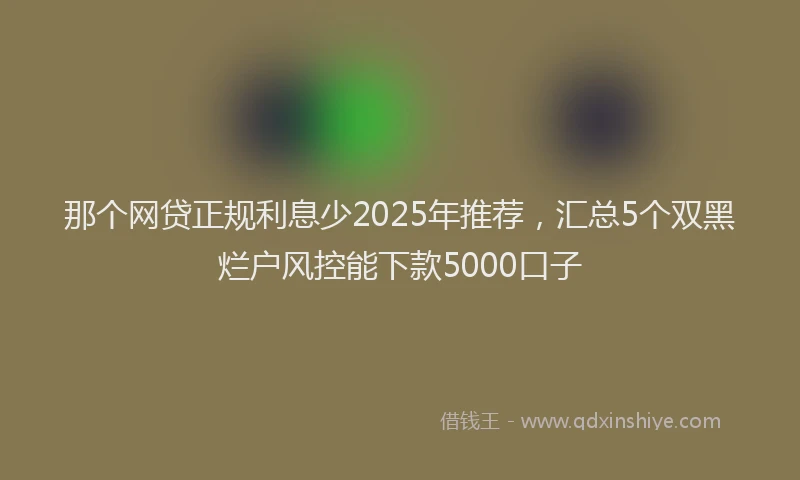 那个网贷正规利息少2025年推荐，汇总5个双黑烂户风控能下款5000口子