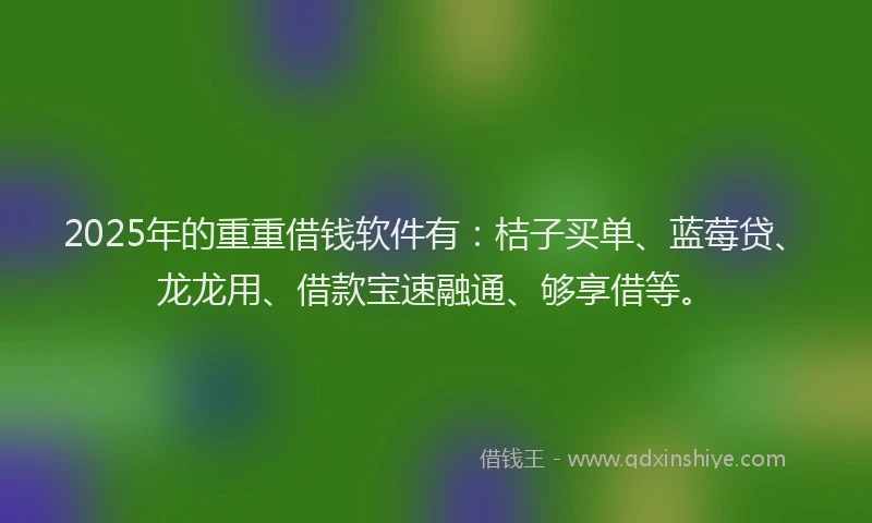 2025年的重重借钱软件有：桔子买单、蓝莓贷、龙龙用、借款宝速融通、够享借等。