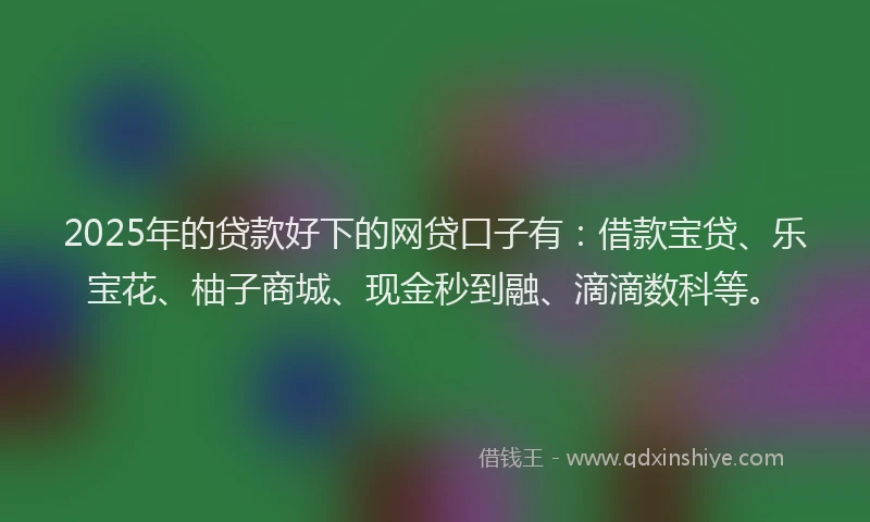 2025年的贷款好下的网贷口子有：借款宝贷、乐宝花、柚子商城、现金秒到融、滴滴数科等。