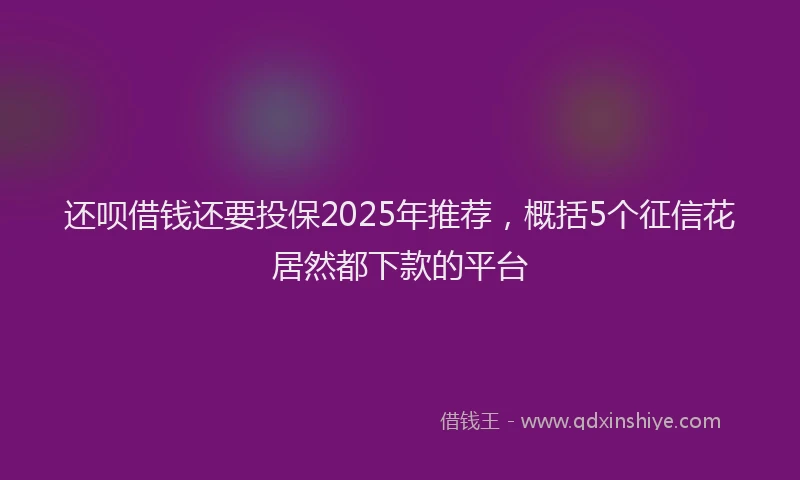 还呗借钱还要投保2025年推荐，概括5个征信花居然都下款的平台