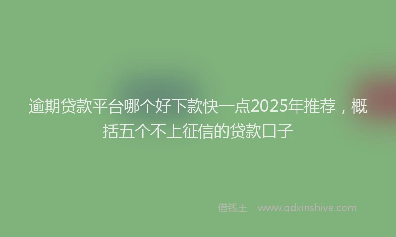 逾期贷款平台哪个好下款快一点2025年推荐，概括五个不上征信的贷款口子