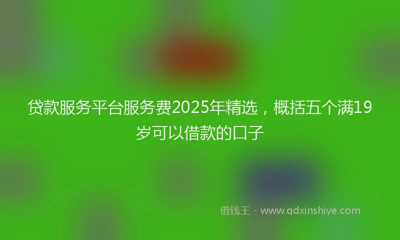贷款服务平台服务费2025年精选，概括五个满19岁可以借款的口子