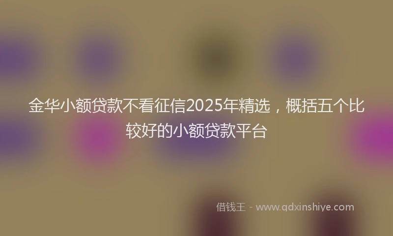 金华小额贷款不看征信2025年精选，概括五个比较好的小额贷款平台