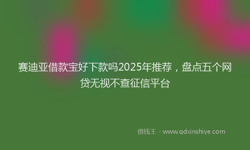 赛迪亚借款宝好下款吗2025年推荐，盘点五个网贷无视不查征信平台