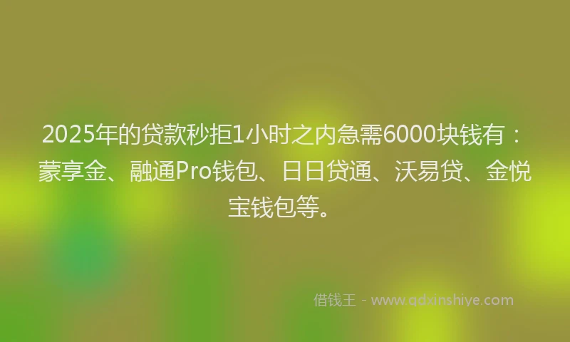 2025年的贷款秒拒1小时之内急需6000块钱有：蒙享金、融通Pro钱包、日日贷通、沃易贷、金悦宝钱包等。