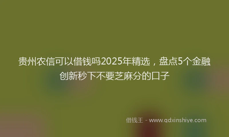 贵州农信可以借钱吗2025年精选，盘点5个金融创新秒下不要芝麻分的口子