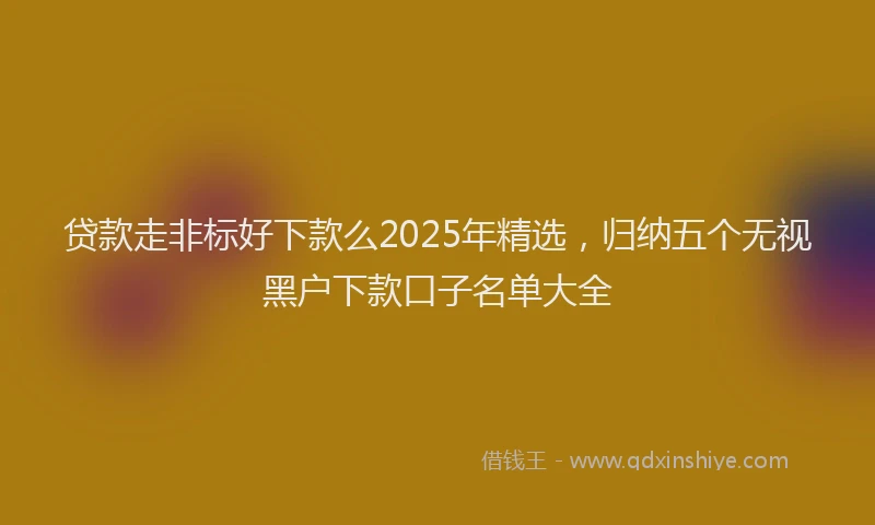 贷款走非标好下款么2025年精选，归纳五个无视黑户下款口子名单大全