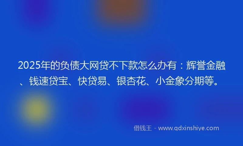 2025年的负债大网贷不下款怎么办有：辉誉金融、钱速贷宝、快贷易、银杏花、小金象分期等。